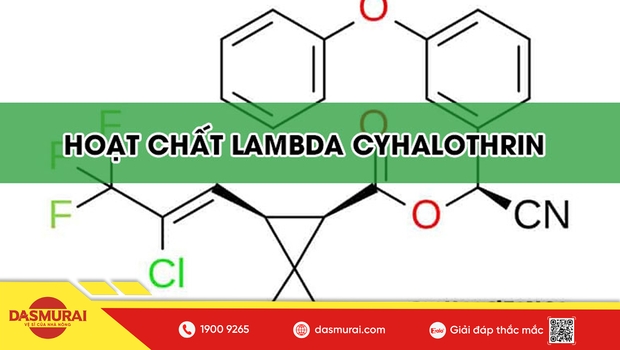 Pyrethroid Là Gì? Lambda-cyhalothrin Và Nhóm Thuốc Trừ Sâu Tiếp Xúc