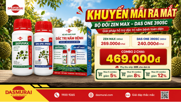Bộ Đôi ZENMAX – DAS ONE: Giải Pháp Quản Lý Nấm Bệnh