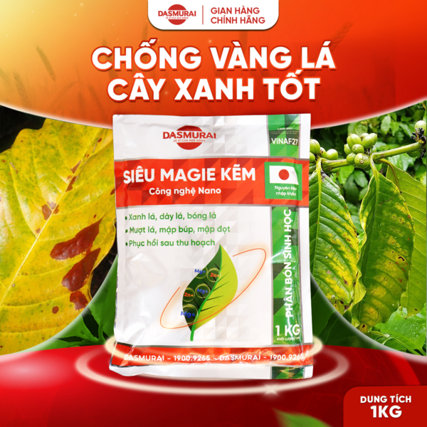 Siêu MAGIE