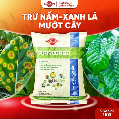 MANCOPRO