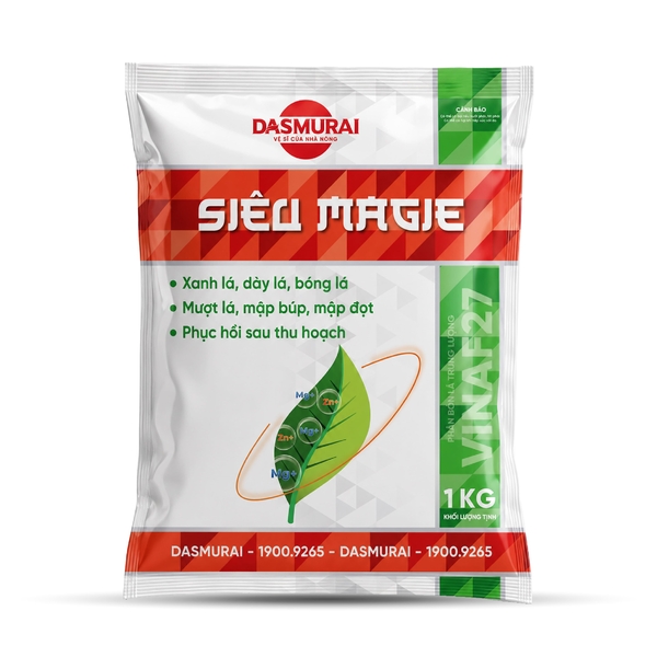 Siêu MAGIE