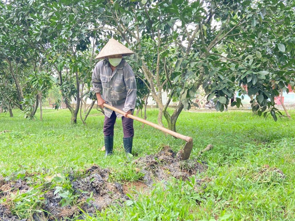 Khơi rãnh thoát nước vườn cây ăn quả