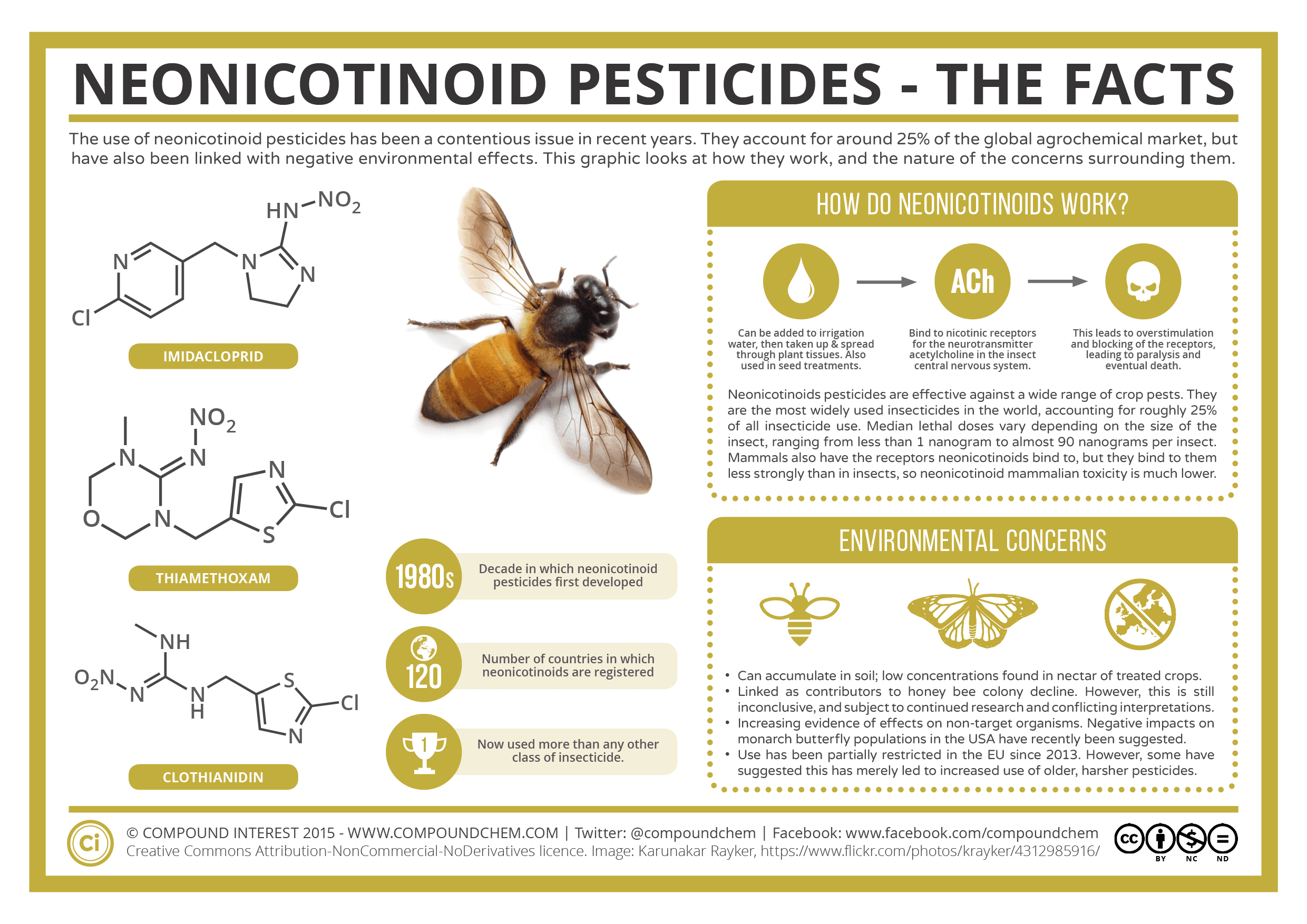 Cơ chế tác động của Neonicotinoid lên hệ thần kinh côn trùng