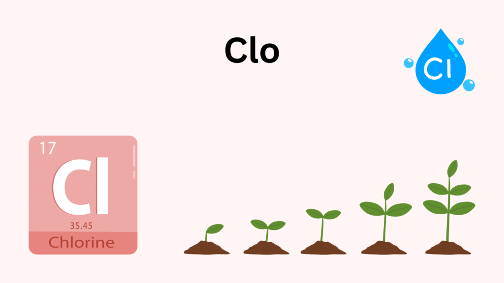 Clo hữu cơ và nguy cơ tồn lưu lâu dài trong môi trường