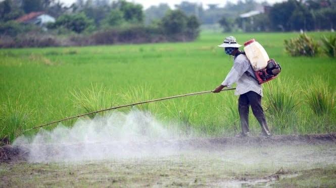 Hoạt chất thuốc trừ cỏ bị cấm sử dụng tại Việt Nam